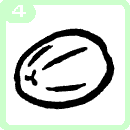 How to draw, coconut 4