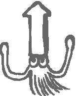 squid illustration